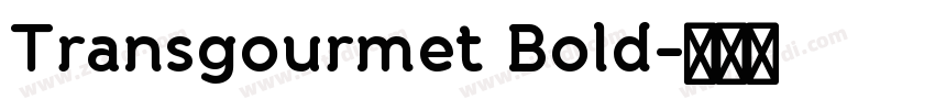 Transgourmet Bold字体转换